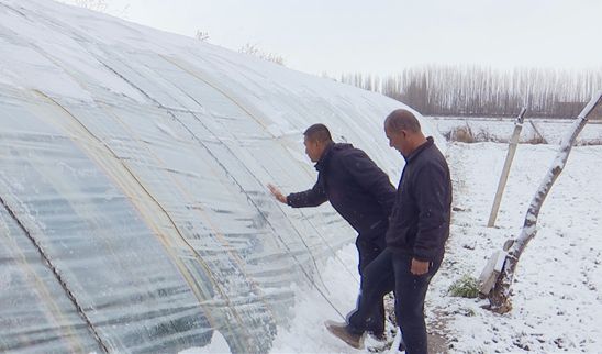 雪降温天气 多措并举保障民生j9国际站尼勒克县积极应对雨(图5)